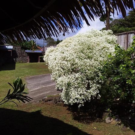 Omati Lodge Taravao Exterior photo