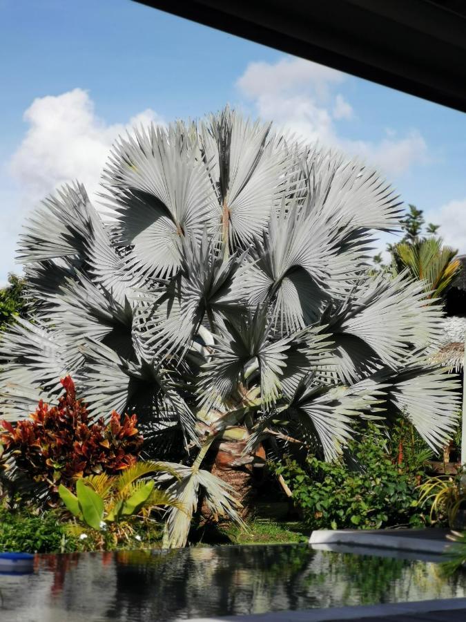 Omati Lodge Taravao Exterior photo